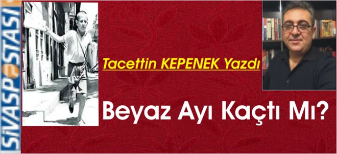 Beyaz Ayı Kaçtı Mı?