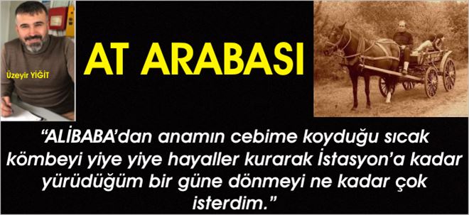 At Arabası