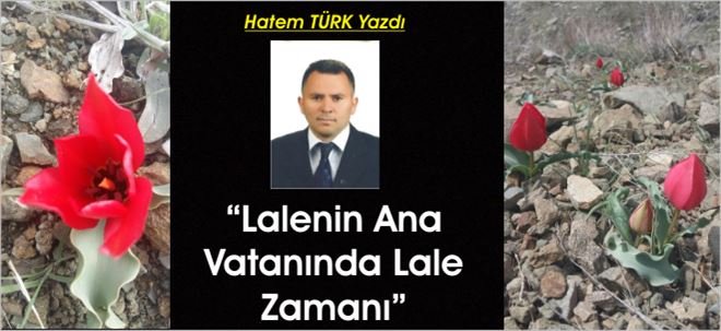 Lalenin Ana Vatanında Lale Zamanı