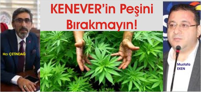 KENEVİR Ne Oldu?