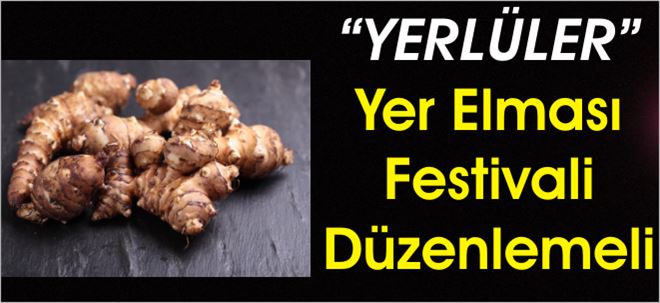 Yerlüyük, Yerlüsün, Yerlü!