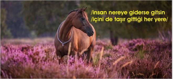 İnsan nereye giderse gitsin...