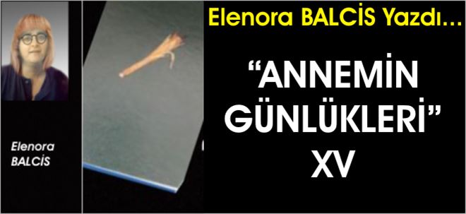 Annemin Günlükleri