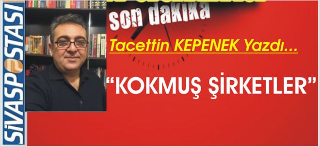 KOKMUŞ ŞİRKETLER