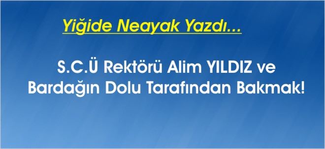 Bir ÜNİVERSİTE Yorumu!