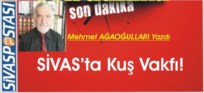 SİVAS´ta Kuş Vakfı!