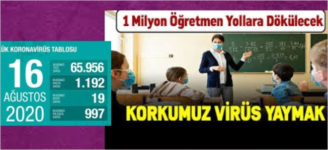 DİMYATA PİRİNCE GİDERKEN...