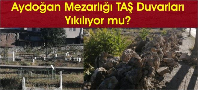 TAŞ DUVARIN SUÇU NE?