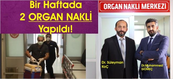 BU MUDUR BUDUR İŞTE!