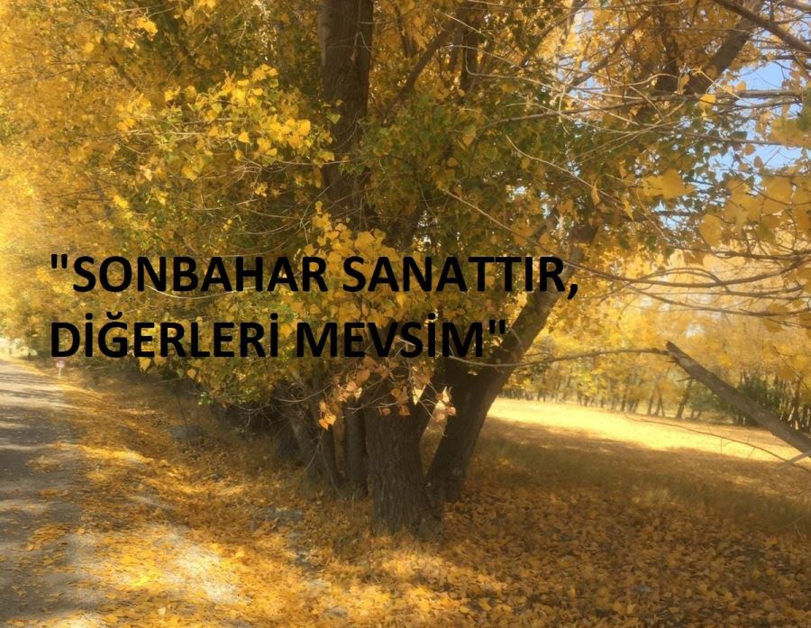 SONBAHAR SANATTIR!