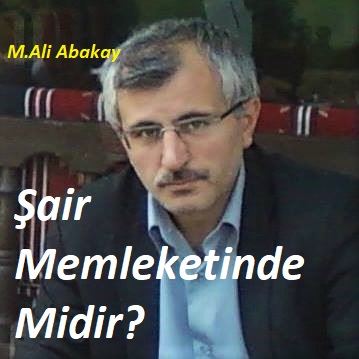 ŞAİR MEMLEKETİNDE MİDİR?