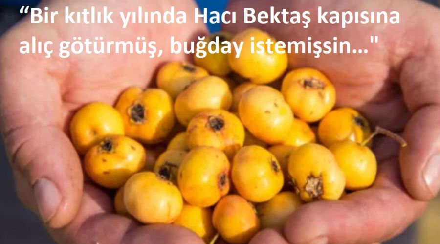 BUĞDAY!..