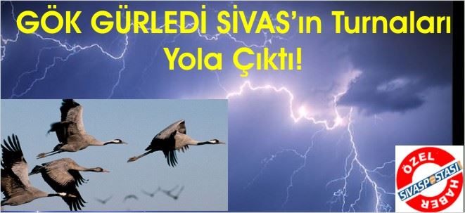 TURNALAR GELİYOR!