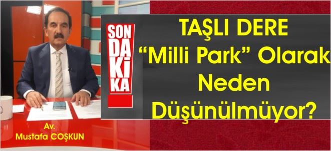 MÜKEMMEL BİR FİKİR!