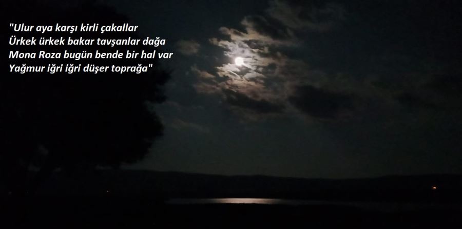 /ulur aya karşı kirli çakallar/