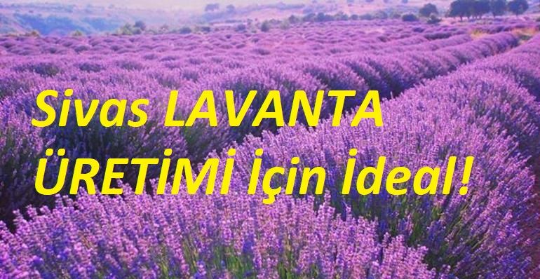 BİR KEZ DE UYUMA SİVAS!