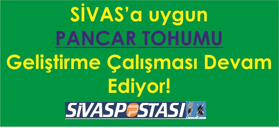 YERLİ PANCAR TOHUMU GELİŞTİRİLİYOR!