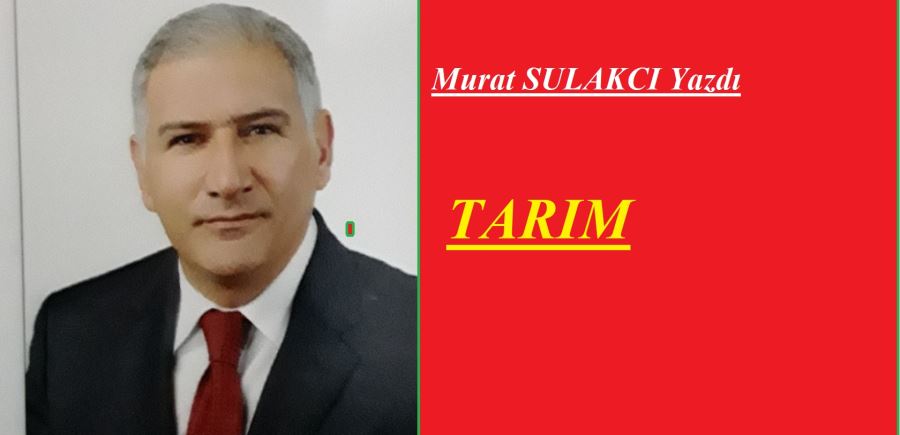 TARIM