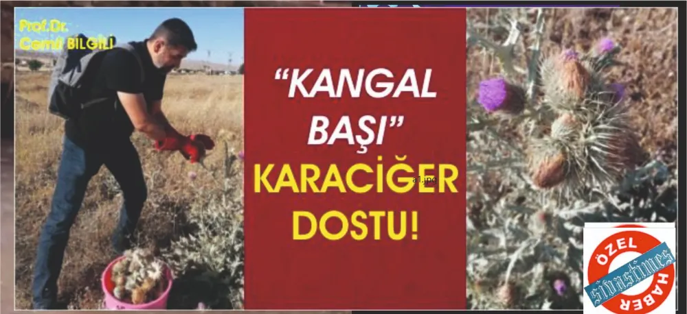 ŞİFA DOĞADA!