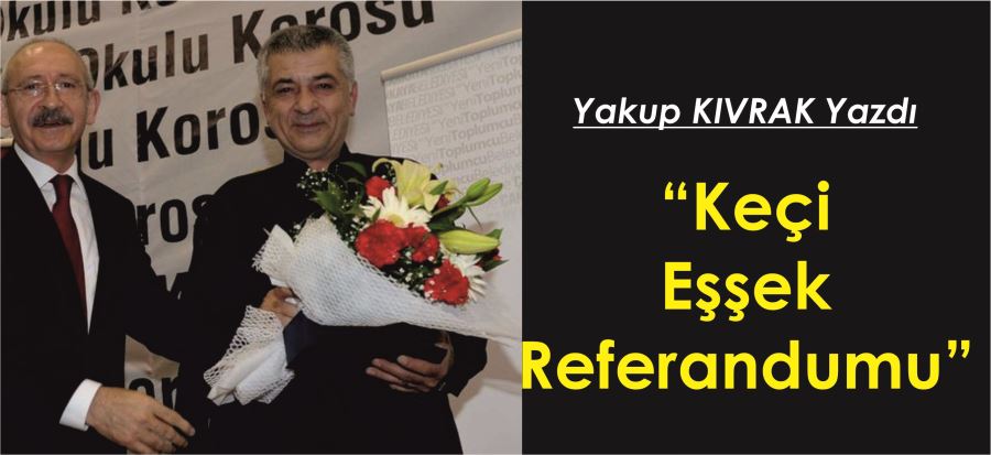 KEÇİ EŞŞEK REFERANDUMU!