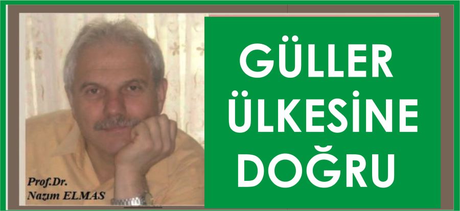 GÜLLER ÜLKESİNE DOĞRU!