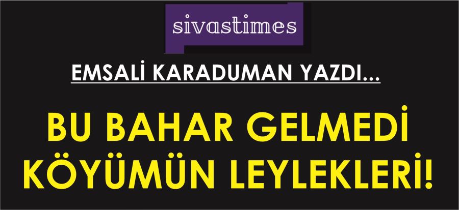 BU BAHAR GELMEDİ KÖYÜMÜN LEYLEKLERİ!