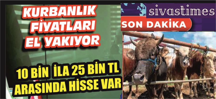 KURBAN HİSSELERİ UÇTU!