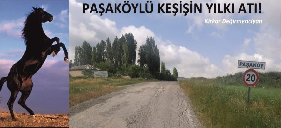 PAŞAKÖYLÜ KEŞİŞİN YILKI ATI!