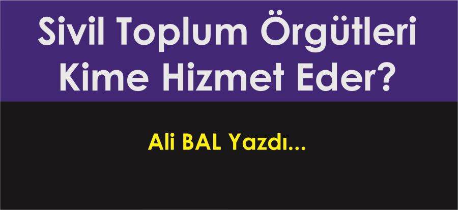 Sivil toplum örgütleri kime hizmet eder?