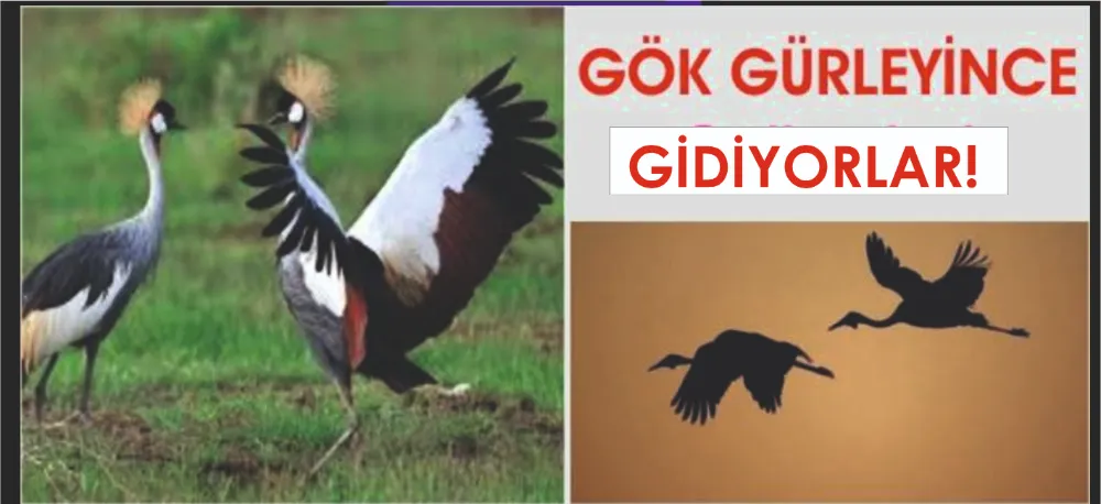 BUGÜN GÖK GÜRLEDİ!