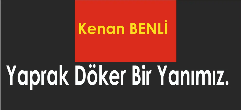 Yaprak döker bir yanımız.