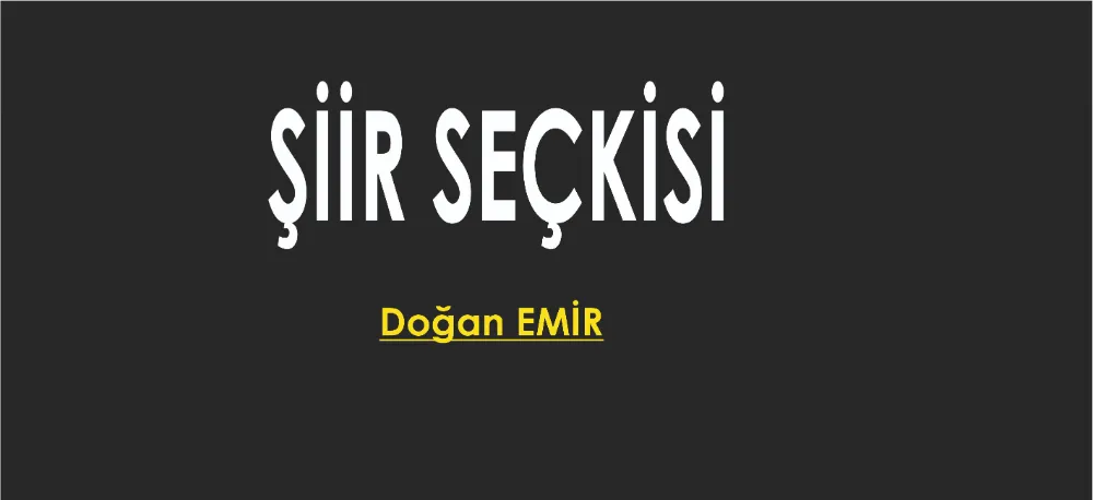 ŞİİR SEÇKİSİ...