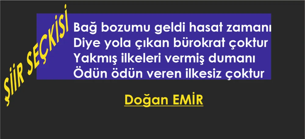 /ŞİİR SEÇKİSİ/