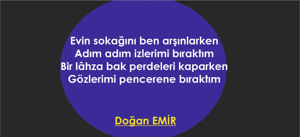 ŞİİR SEÇKİSİ...