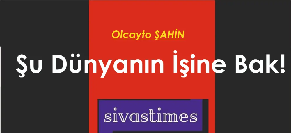 Şu Dünyanın İşine Bak 