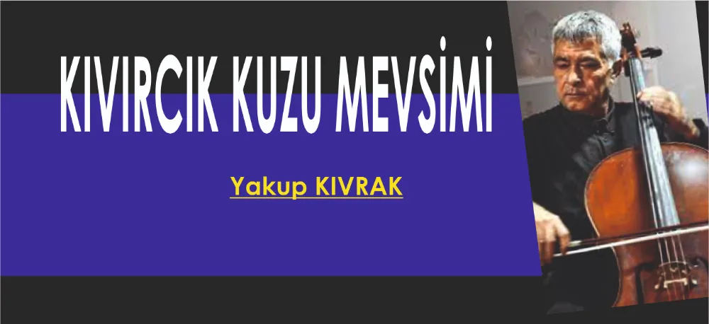 KIVIRCIK KUZU MEVSİMİ!