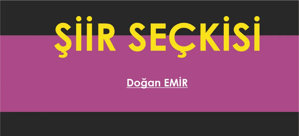 ŞİİR SEÇKİSİ...