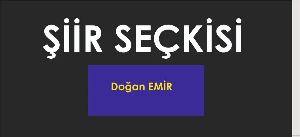 ŞİİR SEÇKİSİ...