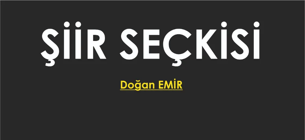 ŞİİR SEÇKİSİ...