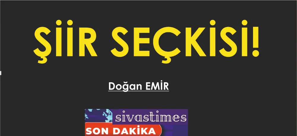 ŞİİR SEÇKİSİ...