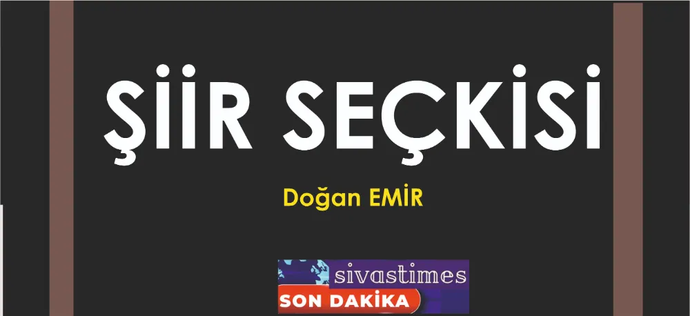 ŞİİR SEÇKİSİ...