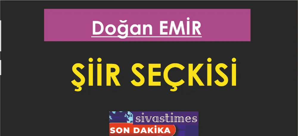 ŞİİR SEÇKİSİ...