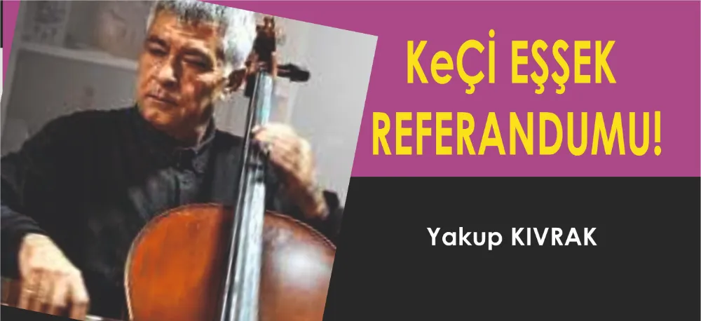 KEÇİ EŞŞEK REFERANDUMU!