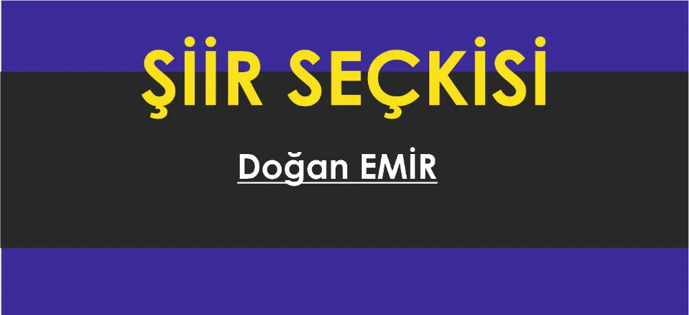 ŞİİR SEÇKİSİ...