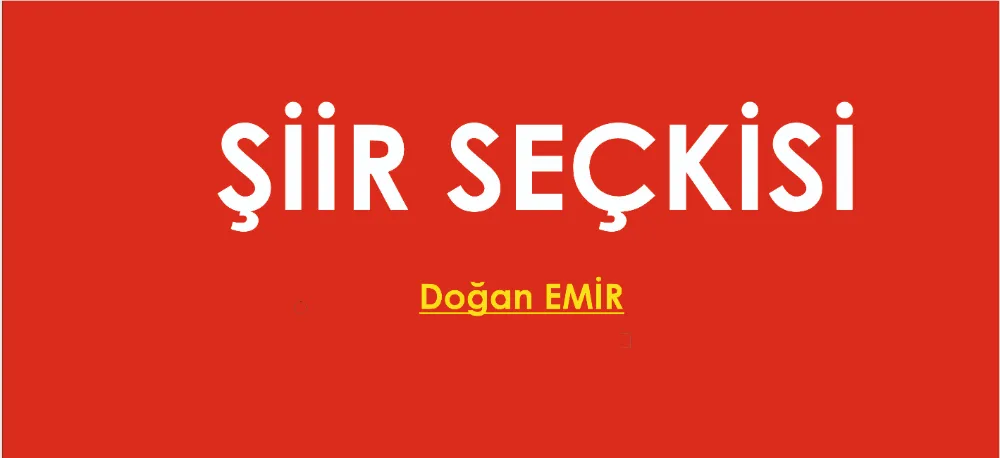 ŞİİR SEÇKİSİ...