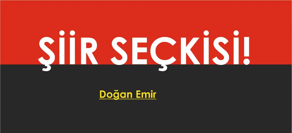 ŞİİR SEÇKİSİ!