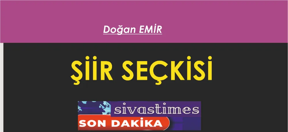 ŞİİR SEÇKİSİ...