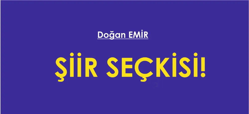 ŞİİR SEÇKİSİ...