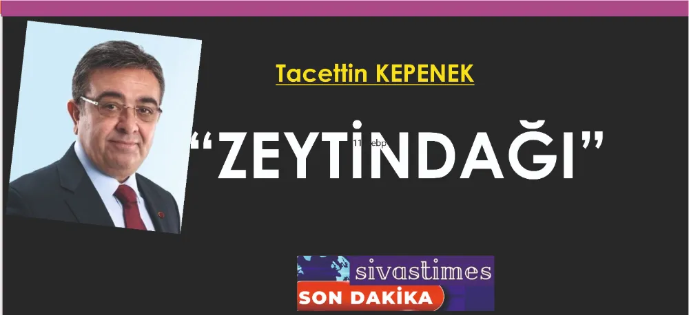 “ZEYTİNDAĞI” 