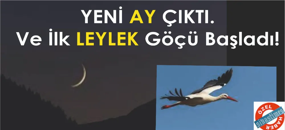 GİZEMLİ İŞARET GELDİ VE GÖÇ BAŞLADI!